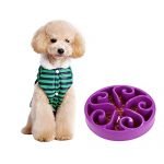 DAN SPEED Slow Feed Puzzle Dog Bowl (Flower Purple)