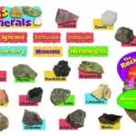 Trend 14-Piece 38 cm Wall Display Sets Rocks and Minerals Paper, Assorted Colours