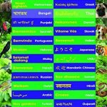 laminated WELCOME language POSTER educational early learning / school type poster wall chart
