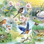 Big 250 Piece Jigsaw Puzzle Feathered Friends - Wild Birds & Ducks