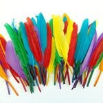 Assorted Coloured Quill Feathers - Art Crafts Collage Fly Fishing Dress Up Hats