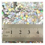 15g LARGE HOLOGRAPHIC GLITTER *4 SIZES *5 COLOURS * CRAFTS NAIL ART CARD MAKING (Silver 1/10" (C1443))