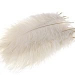 10 x Arts Crafts Ostrich Feathers Fluffy 10"-12" Long White